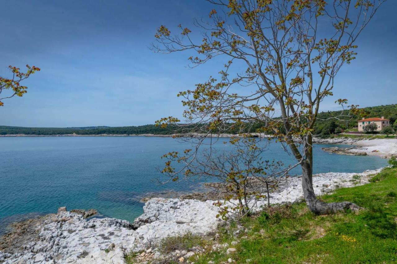 Apartman Lidija Koromačno Exterior foto